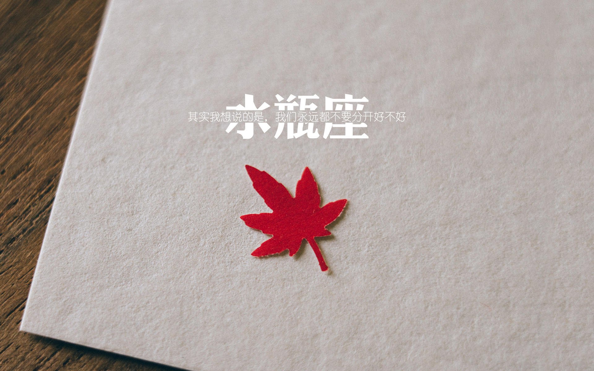 开云体育APP下载-“冠军悬念持续升级：排名变幻牵动百万粉丝心”，《冠军》