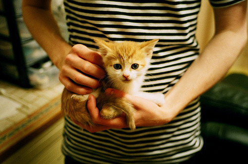 开云全站-“雷霆队新战术奏效，逆袭夺胜”，雷霆队原来叫什么名字