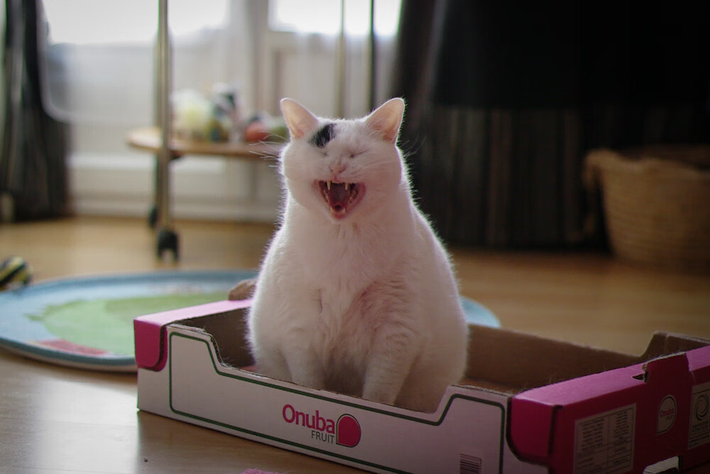 “震撼冲撞:惊心动魄的碰撞现场”,震撼一下