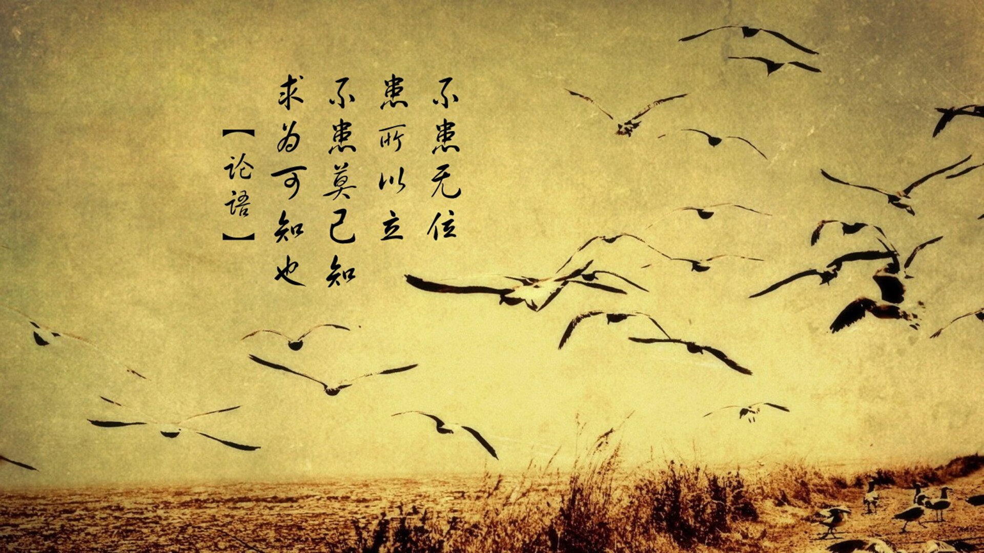 开云体育官方网入口-中国篮球联盟推动职业化建设迈出新步伐，中国职业篮球联赛是什么意思