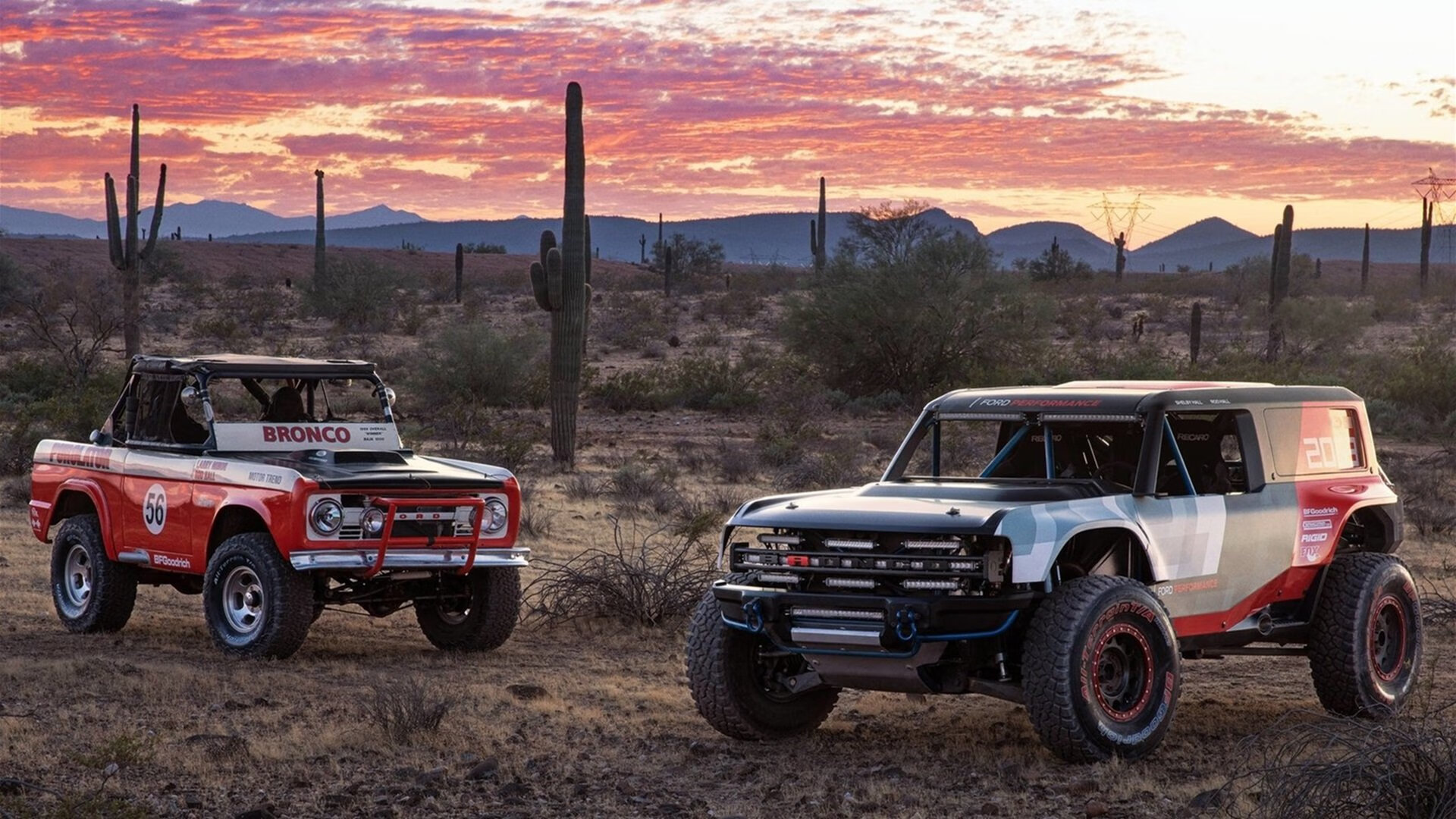 开云·体育官网APP下载-团队配合：北京队全场助攻高达23次，配合默契！，北京队冠军阵容