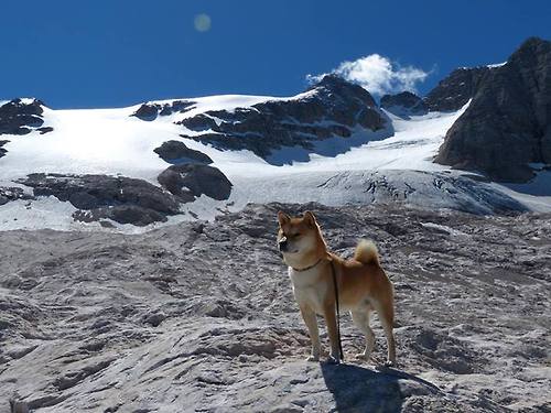 绝境求生:球队在困境中挣扎出线的全过程,绝境求生是什么意思