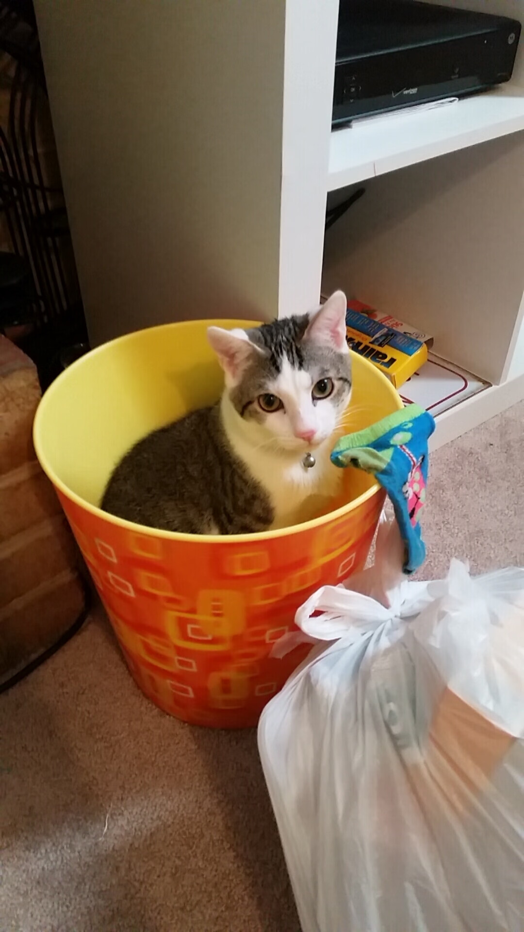 开云在线直播-西甲俱乐部重视青训体系，未来可期，西甲俱乐部球队