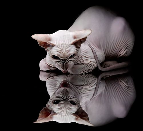 开云官网APP下载-足球运动进社区活动覆盖全国百城，社区足球队