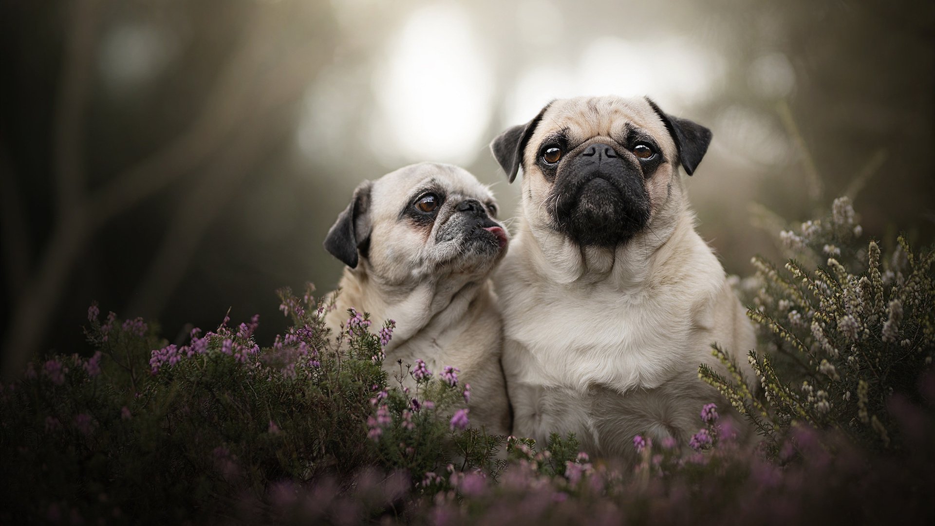 kaiyun-世界级球星再度闪耀，助力球队走向胜利，2020世界十大球星