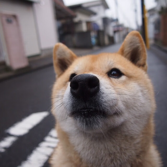 kaiyun-亚眠在热身赛中积累经验，备战下一轮，亚眠逝世是什么意思