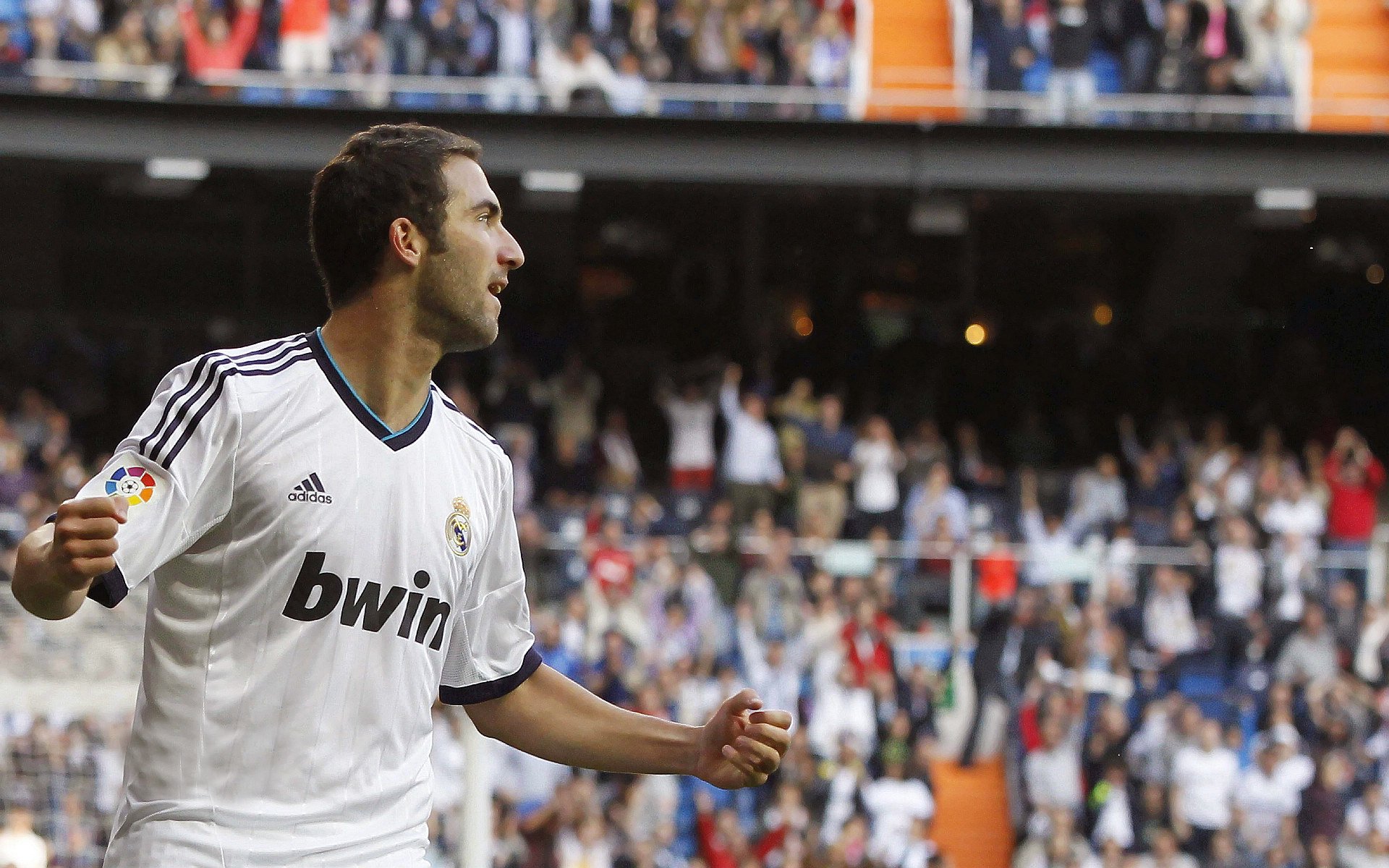 女足世界杯赛场气氛热烈,女足世界杯受追捧