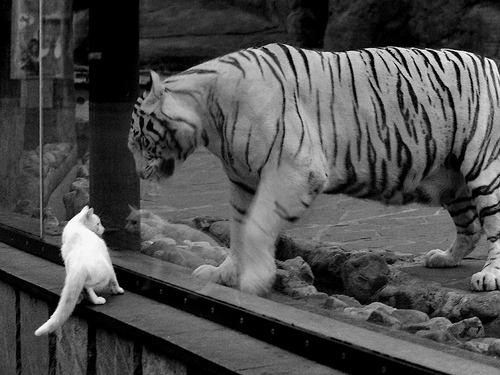 开云kaiyun-校园足球联赛火热进行，激发学生兴趣，学校足球联赛方案