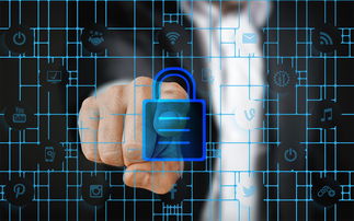 开云官网-校园体育安全管理策略研究，校园体育安全管理策略研究报告