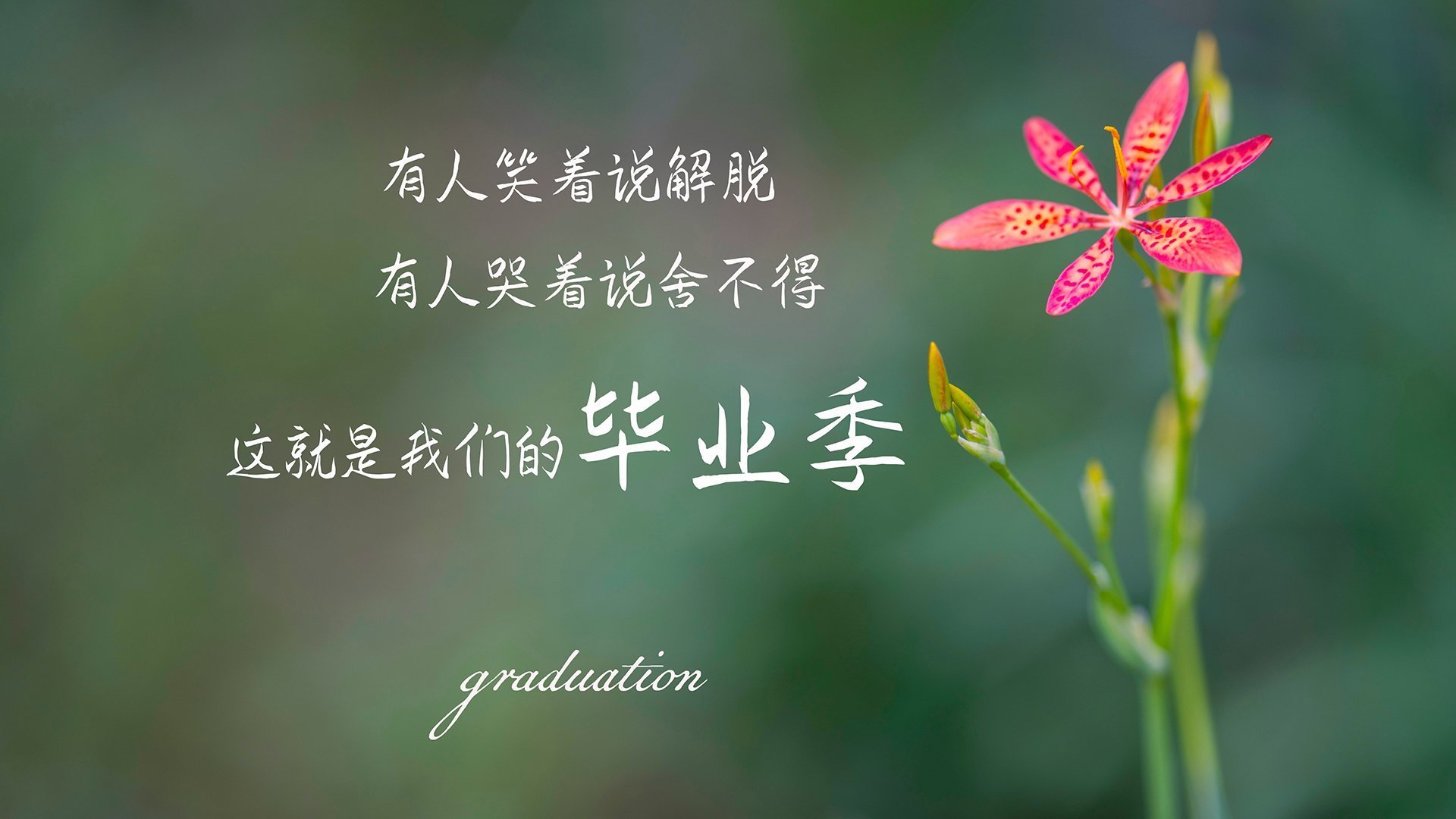 开云·体育官方网站入口-“2025世界游泳锦标赛：游泳项目的速度挑战与极限突破”