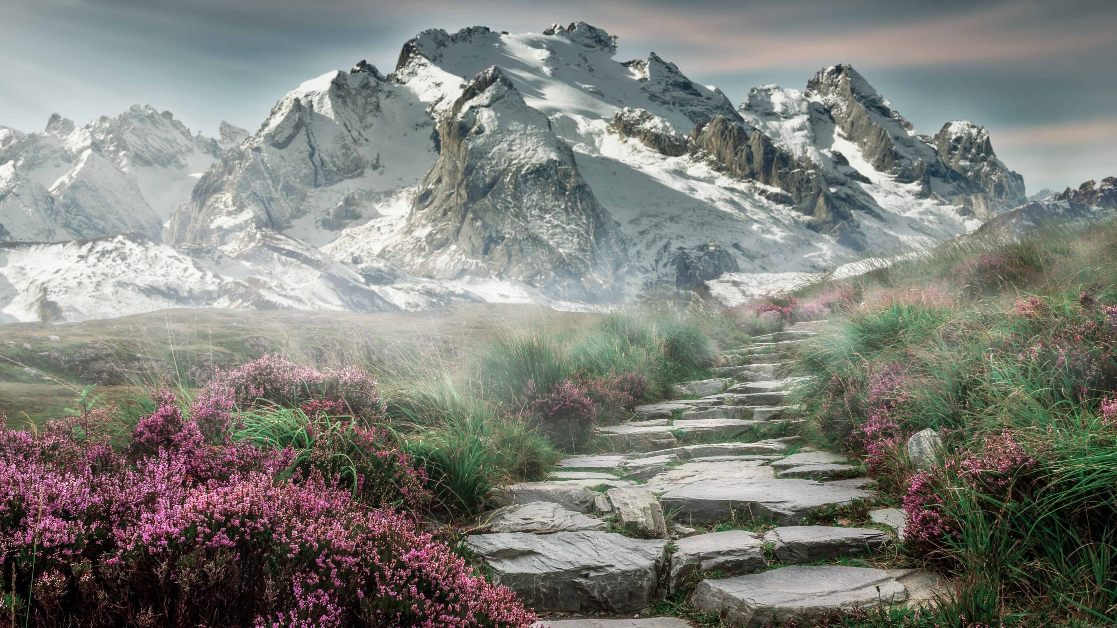 五大联赛中锋接应质量是否决定进攻推进效率,五大联赛前锋抢断