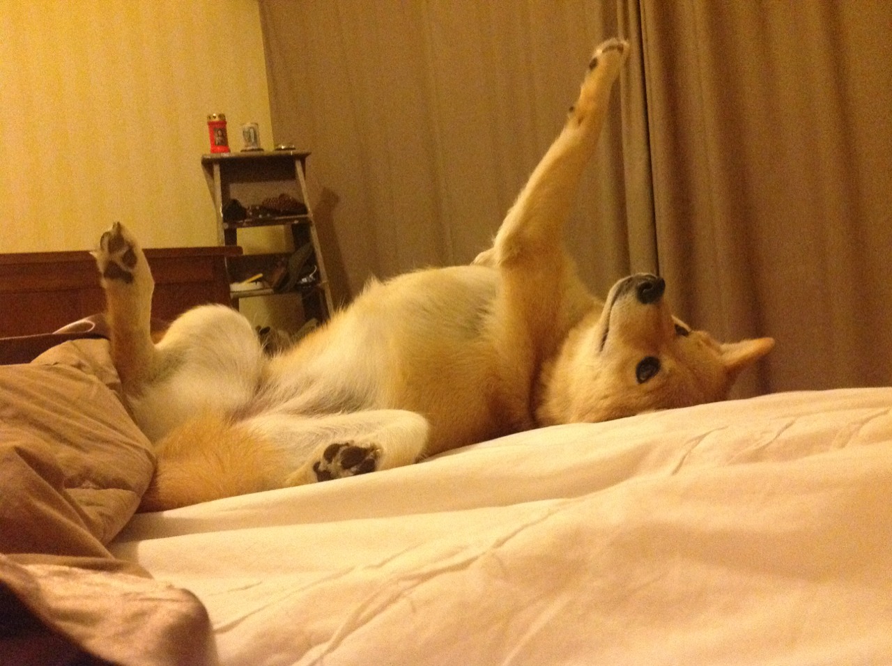 俱乐部经营模式转型压力大，俱乐部怎样经营与管理