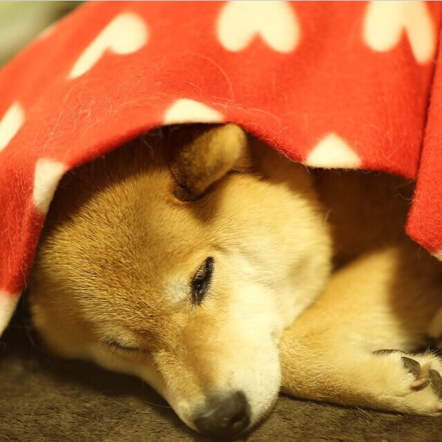 开云·体育官方网站入口-节奏拉开之后的比分控制能力分析，节奏把控