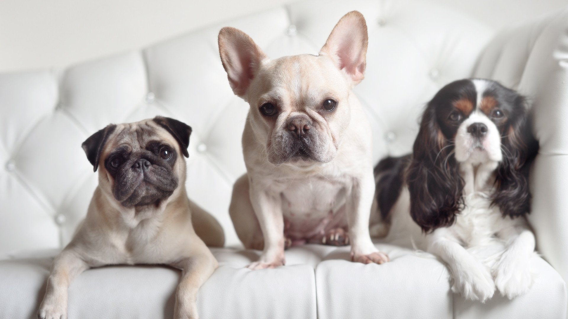 开云·体育官网-青训体系加强基础训练和心理辅导，青训理念