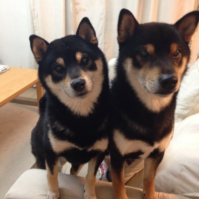 国家队备战国际赛事强化战术配合和应变能力提升,中国国家队的比赛理念是打造能征善战