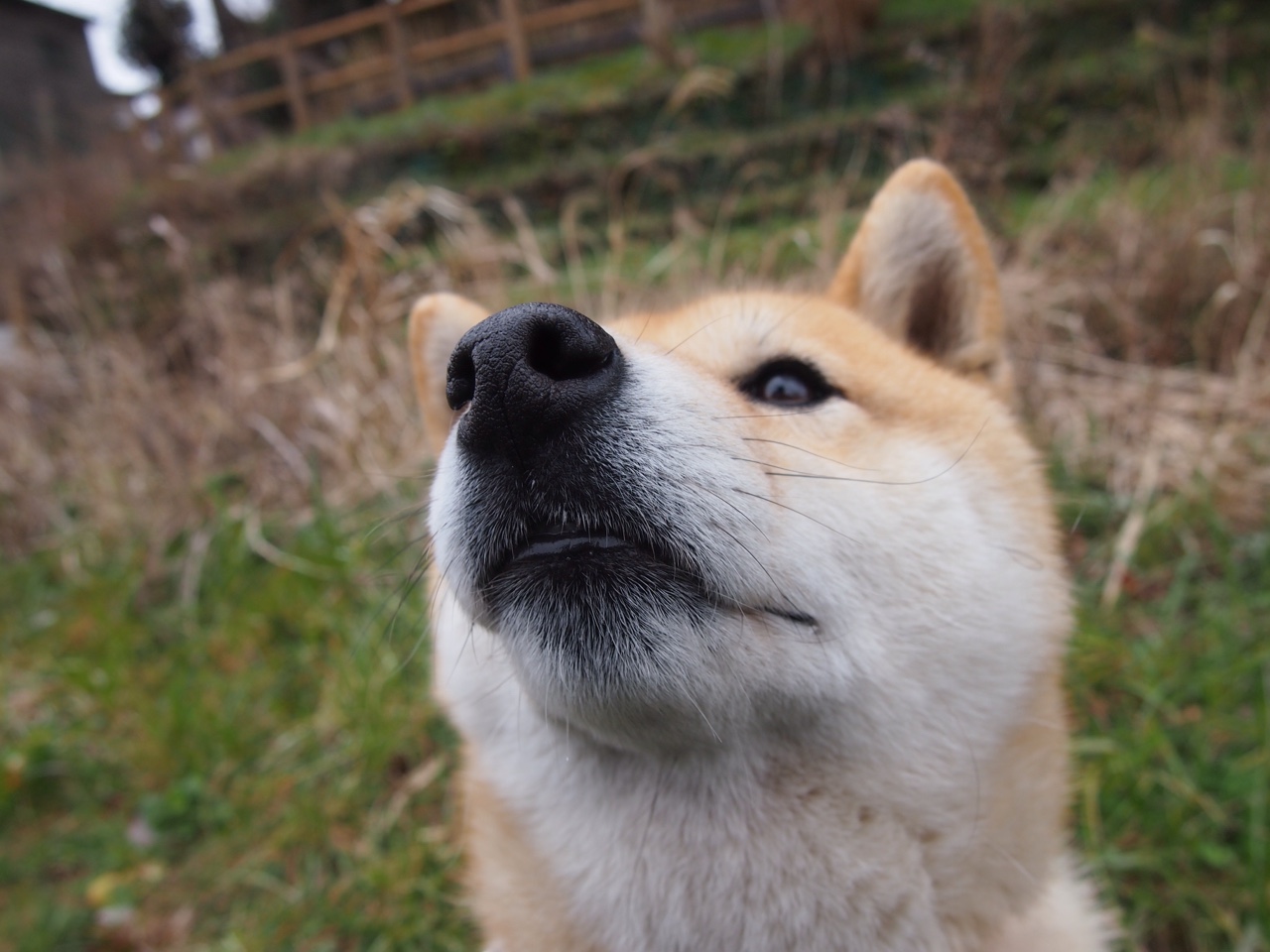 库里休赛期仍坚持每日投篮训练，库里休赛期仍坚持每日投篮训练吗