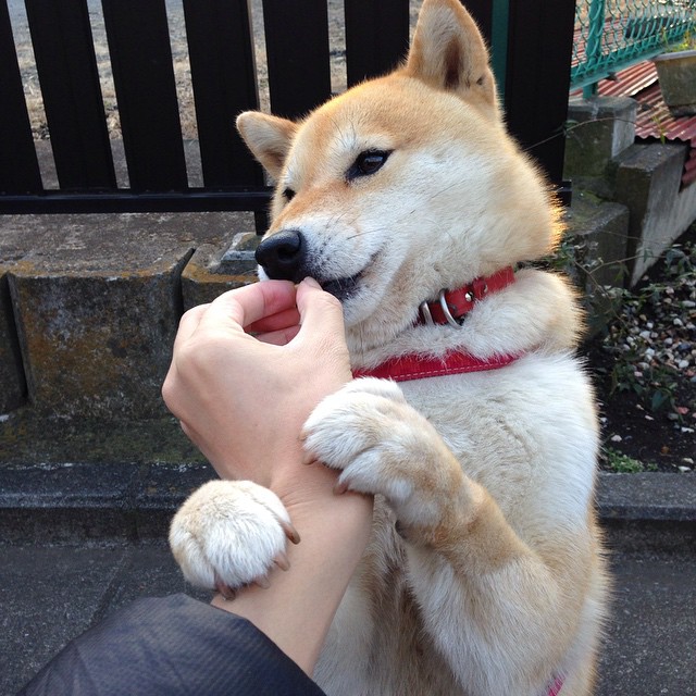 kaiyun登录入口-恩多比·恩乔的精准罚球使南非队连续领先，多恩比纳