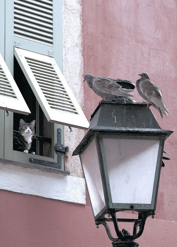 开云体育视频直播-朱婷称团队默契源自日常相处细节，朱婷团队言论