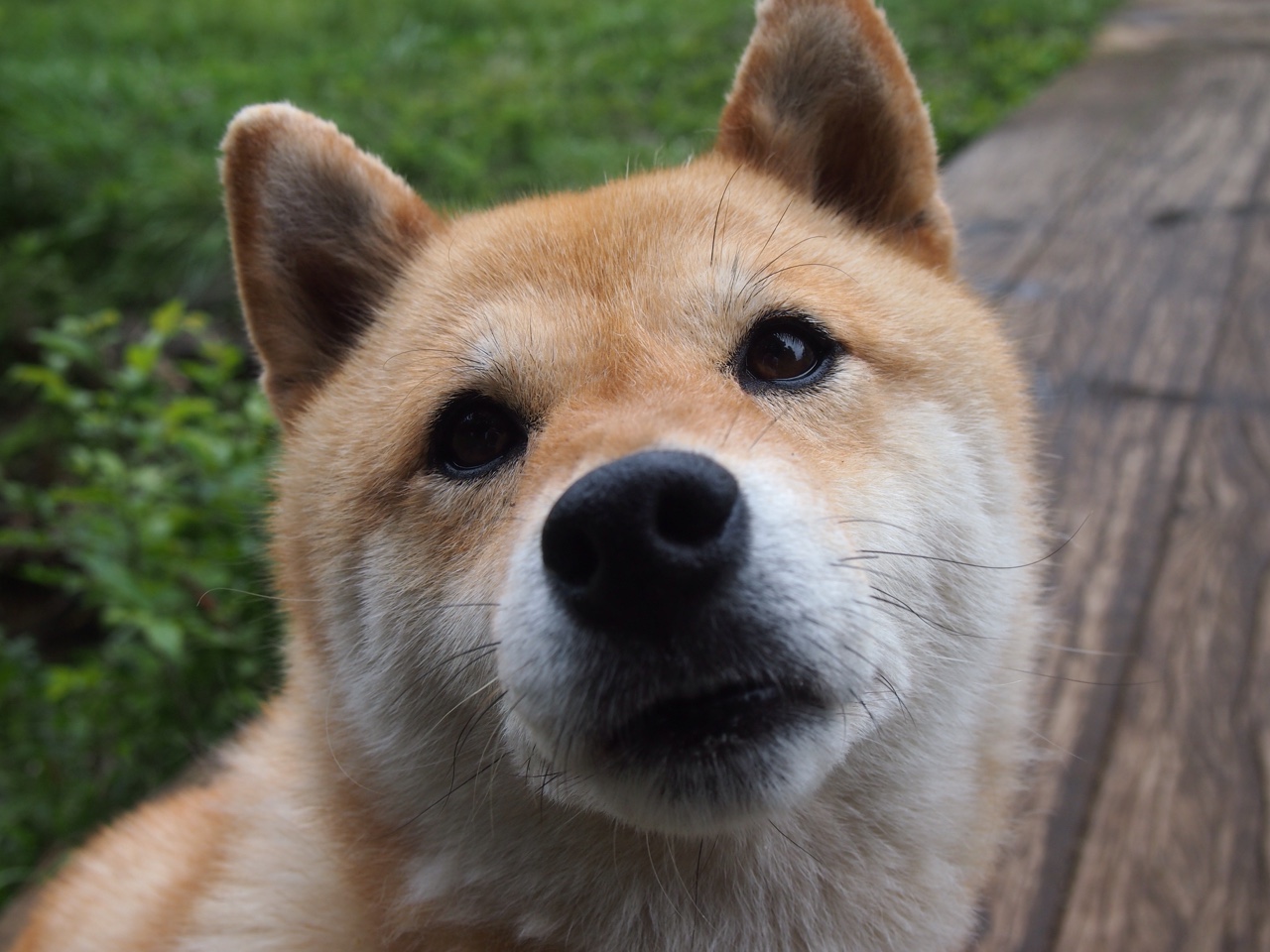 英超激情冲刺:胜负只在一线之间!,英超现场